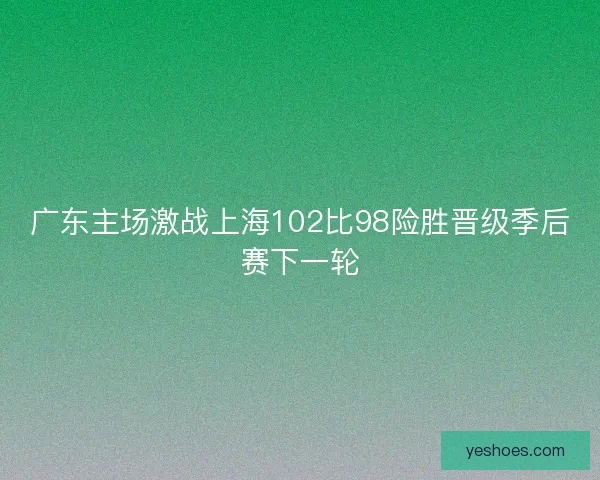 广东主场激战上海102比98险胜晋级季后赛下一轮